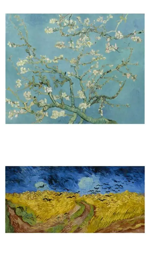 Museo Van Gogh Amsterdam 17