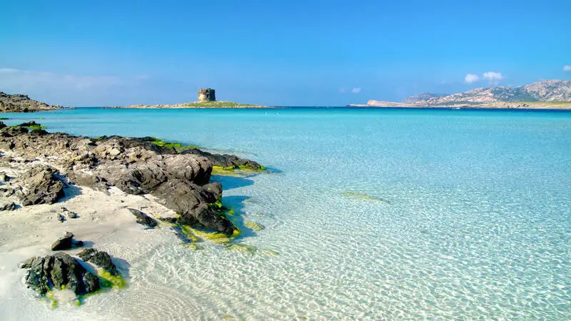 Stintino la Pelosa e le Saline: le più belle spiagge della Sardegna in camper – Tappa 4