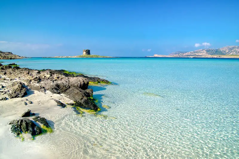 Stintino la Pelosa e le Saline: le più belle spiagge della Sardegna in camper – Tappa 4