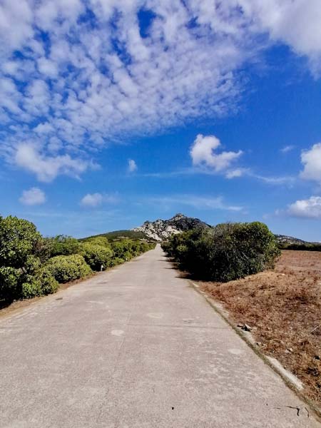 Isola Asinara