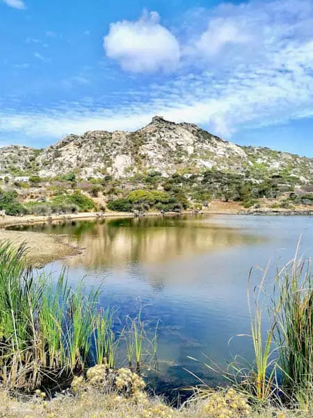 Isola Asinara