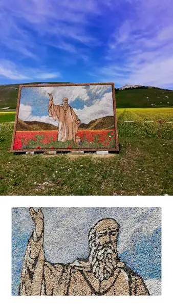 moasioco di lenticchie esposto durante la fioritura Castelluccio di Norcia