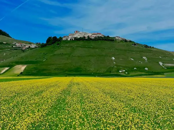 veduta del paese durante la fioritura Castelluccio di Norcia