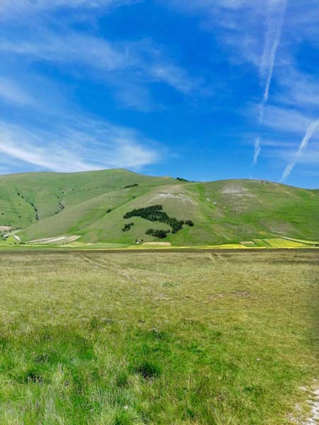 vegetazione a forma di Italia durante la fioritura Castelluccio di Norcia