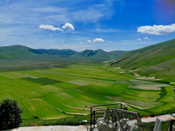 paesaggio della vallata durante la fioritura Castelluccio di Norcia