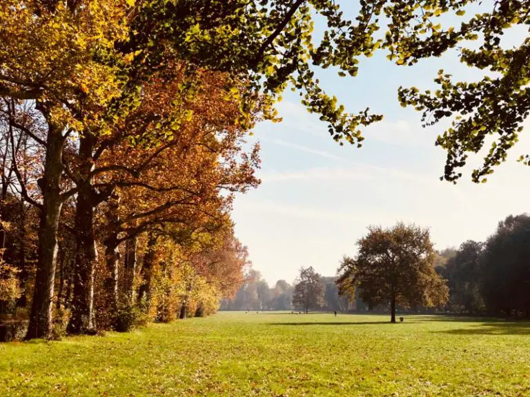 foliage Toscana parco delle Cascine a Firenze