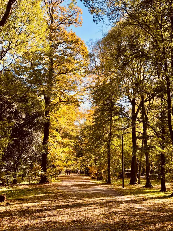 foliage Toscana parco delle Cascine a Firenze