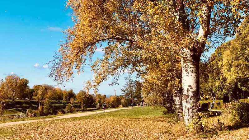 Foliage Toscana: 5 luoghi che vi lasceranno a bocca aperta