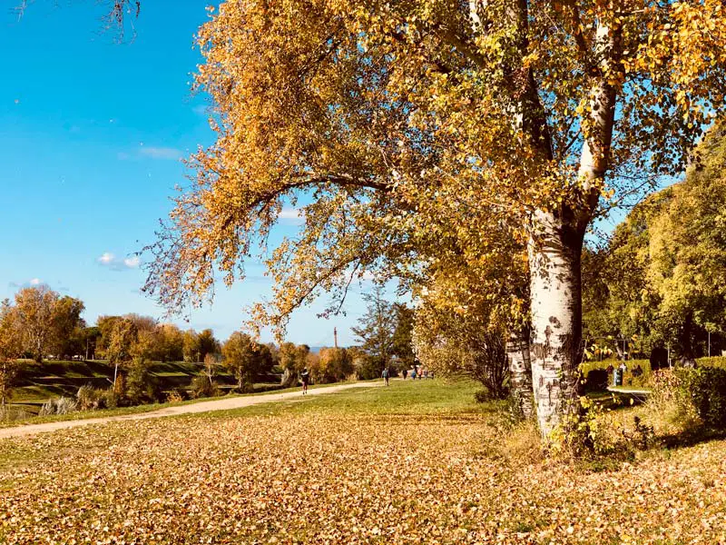 Foliage Toscana: 5 luoghi che vi lasceranno a bocca aperta