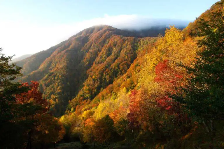 Foliage Toscana nelle foreste casentinesi