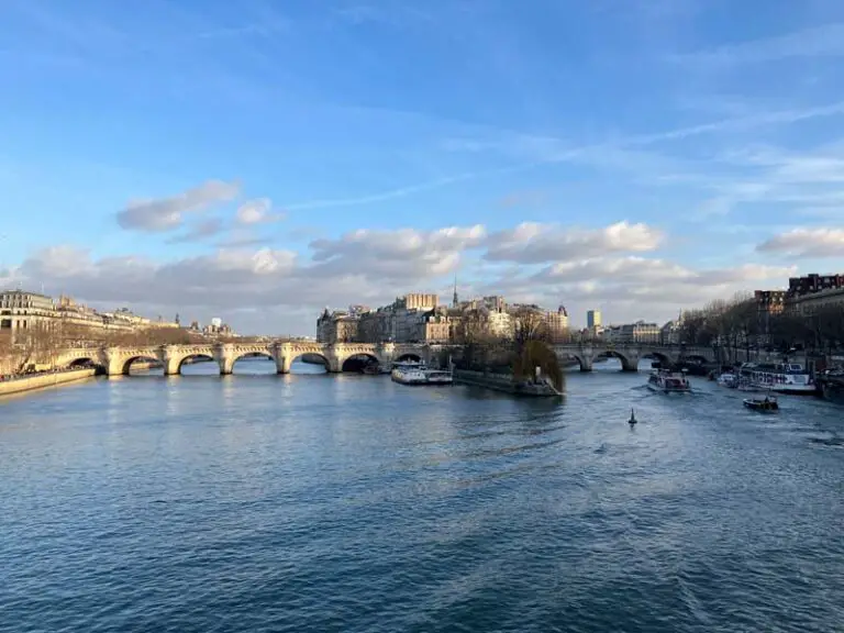 panorama di Ile de la citè sulla Senna