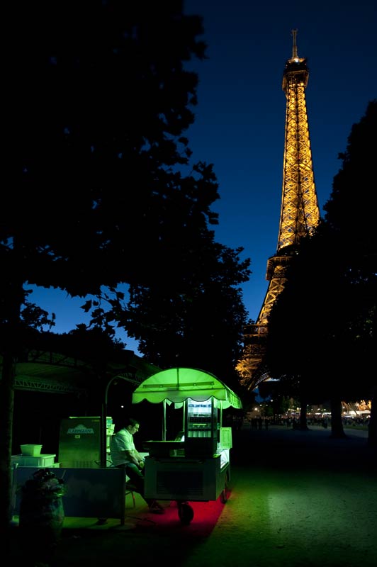 Scorcio della torre eiffel tra le fronde degli alberi