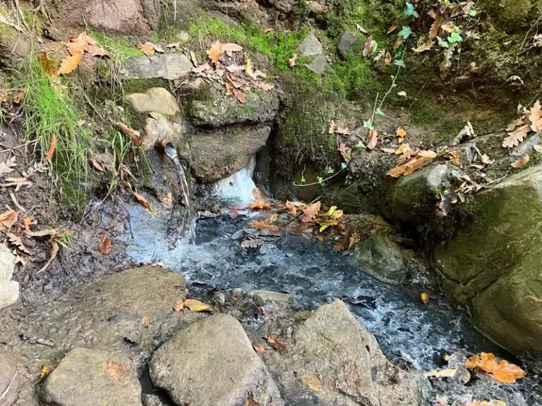 sorgente dell'acqua zolfina