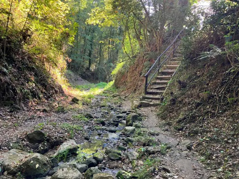 sentiero dell'acqua zolfina